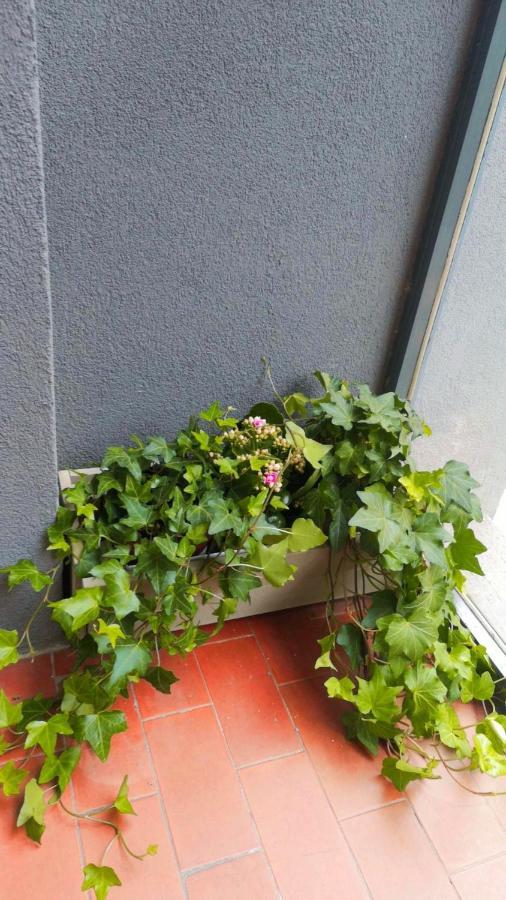 So Fine Petruzzelli Flat Apartment Bari Exterior photo